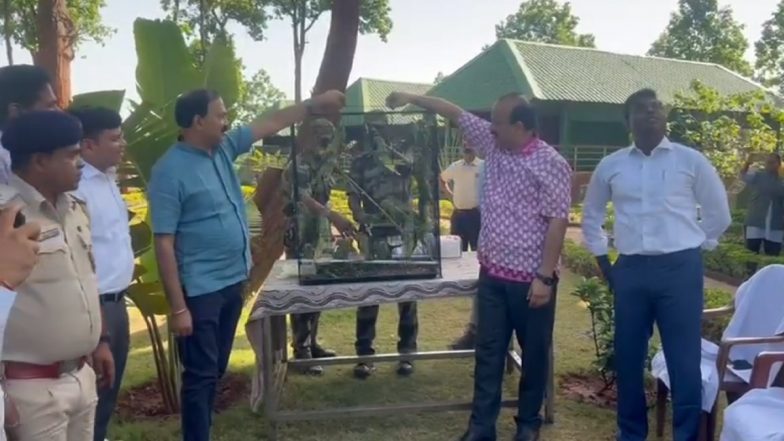 वन विभाग के अधिकारियों ने किया पक्षियों को मुक्त, पिंजरे से निकलकर आजादी की उड़ान भरते दिखे तोते (Watch Viral Video)