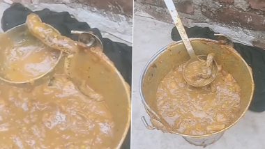 Viral Video: आलू की सब्जी में जहरीले सांप को देख उड़े लोगों के होश, हैरान करने वाला वीडियो हुआ वायरल