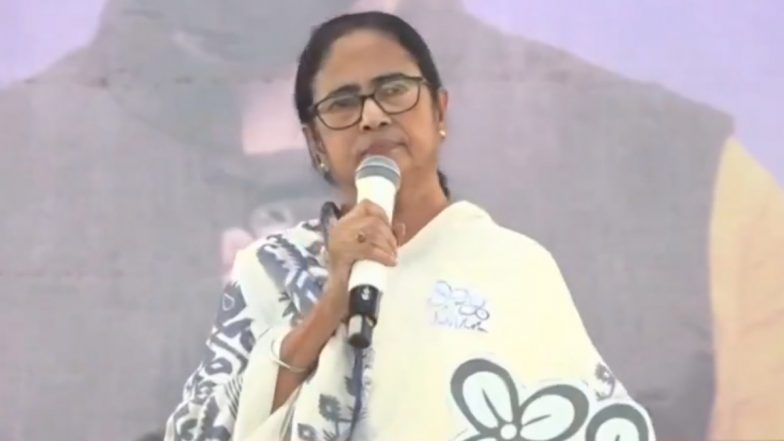 West Bengal: नवद्वीप और कृष्णानगर तक 'चैतन्य धाम है,यह शांति की भूमि है, हमें पीएम से धर्म सीखने की जरुरत नही -ममता बनर्जी -Video