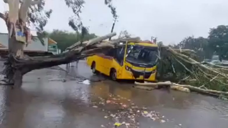 Assam School Bus Accident: स्कुल बस पर गिरी पेड़ की डाल, हादसे में 12 विद्यार्थी घायल; असम के ढेकियाजुली इलाके की घटना -( Watch Video )