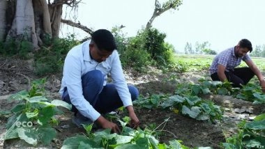 खेती से ग्रीन हाउस उत्सर्जन में भारत तीसरे नंबर पर