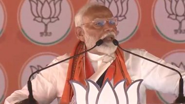 PM In Bihar Rally: भारत को ऐसा पीएम चाहिए जो दुनिया के सामने इस दमदार देश का दम दुनिया के सामने दमखम के साथ रख सके; इंडी गठबंधन की पांच साल में पांच पीएम देने की योजना है; पीएम मोदी का बयान - Video