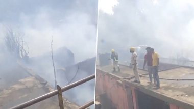 Bihar Fire Video: बिहार के बांस घाट पर लगी भीषण आग, दमकल की गाड़ियां मौके, काबू पाने की कोशिश जारी