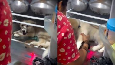 Viral Video: गर्मी से राहत पाने के लिए फ्रिज में जाकर बैठा कुत्ता, जानवर के इस जुगाड़ को देख हंस पड़ेंगे आप