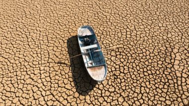 Vietnam Heatwave Kills Fish: वियतनाम में भयावह गर्मी का कहर, लाखों मछलियां मरीं, बदबू से लोगों का जीना हुआ मुहाल