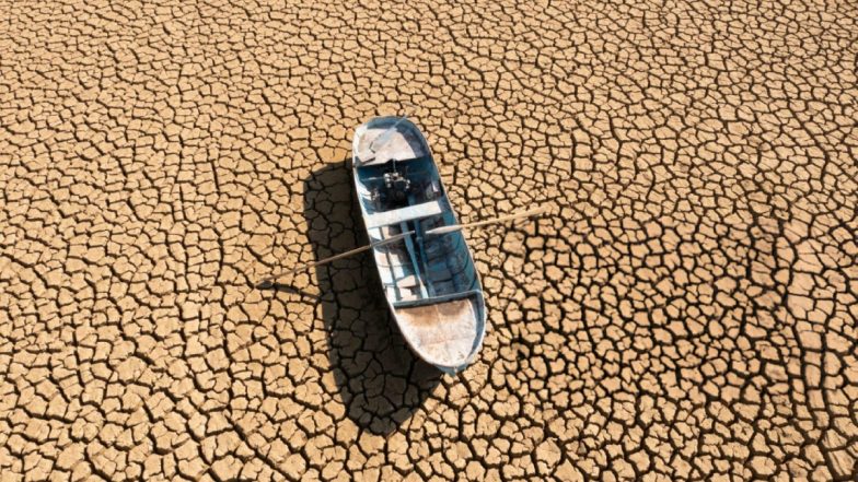 Vietnam Heatwave Kills Fish: वियतनाम में भयावह गर्मी का कहर, लाखों मछलियां मरीं, बदबू से लोगों का जीना हुआ मुहाल