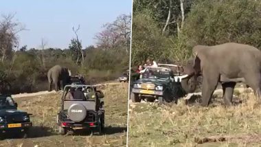 Viral Video: जब पर्यटकों पर फूटा हाथी का गुस्सा, जंगल में कई सफारी गाड़ियों को घेर लिया और फिर...