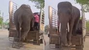 Viral Video: स्मार्टनेस दिखाते हुए टेंपो पर चढ़कर खड़े हुए दो हाथी, फिर स्टूल उठाकर जो किया... आप भी देखें