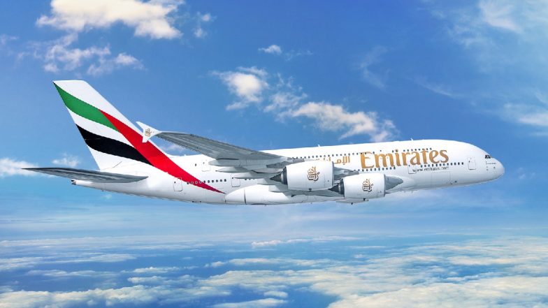 Flamingo Collide With Plane: मुंबई में उड़ान भरते ही विमान से टकराए फ्लेमिंगो, 40 से ज्यादा पक्षियों की मौत