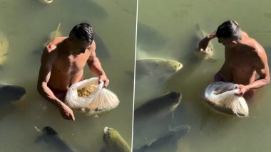VIDEO: मछलियों को खाना खिलाने के लिए पानी में उतरा शख्स, शांति से अपनी बारी का इंतजार करती दिखीं जल की ये रानियां