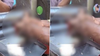 Viral Video: गन्ने की मशीन में फंसा युवक का हाथ, चार उंगलियों के कुचल जाने से हालत गंभीर