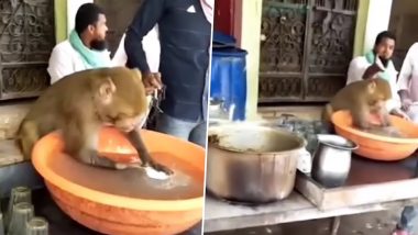 Viral Video: ढाबे पर नौकरी करता दिखा बंदर, कर्मचारी की तरह धोए लोगों के जूठे बर्तन, नजारा देख हो जाएंगे हैरान