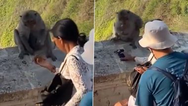 Viral Video: बाली में घूमने के दौरान महिला से बंदर ने छीना मोबाइल, फिर इस चीज को लेने के बाद वापस किया फोन