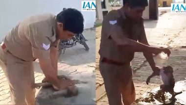 VIDEO: इंसानियत की मिसाल! पुलिसवाले ने बचाई गर्मी से बेहोश बंदर की जान, CPR और पानी पिलाने का वीडियो वायरल