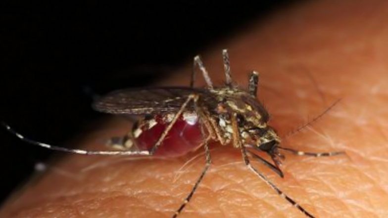 West Nile Fever in Kerala: केरल में वेस्ट नाइल वायरस पाए जाने से मचा हड़कंप, सरकार ने बचाव को लेकर सभी जिलों को जारी किया अलर्ट