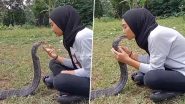 बिना डरे महिला ने विशालकाय किंग कोबरा को किया किस, फिर जो हुआ... Viral Video देख हैरान हो जाएंगे आप