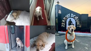 Army Dog ​​Meru Photos: सेना से रिटायर हुआ कुत्ता फर्स्ट AC से पहुंचा घर, देशभक्त आर्मी डॉग का वीडियो वायरल