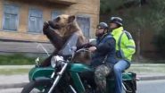 मोटरसाइकिल की सवारी का भालू ने उठाया लुत्फ, लोगों को देख सेलिब्रिटी की तरह हवा में हिलाया हाथ (Watch Viral Video)