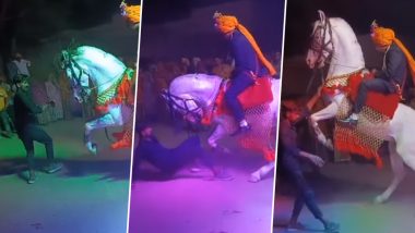 Viral Video: बारात में घोड़े और शख्स के बीच दिखी गजब की जुगलबंदी, किया ऐसा डांस कि देखते रह गए लोग