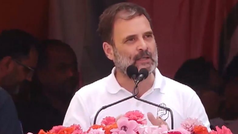 Lok Sabha Election Results 2024: मेरे बस में होता तो मैं वायनाड-रायबरेली दोनों जगह का MP बनना पसंद करता; लोकसभा चुनाव में जीत के बाद बोले राहुल गांधी (Watch Video)