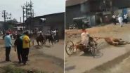 Kolhapur Horse Carriage Race Accident: घोड़ागाडी की रेस लगाना पड़ा महंगा, टांगे के पलटने से बाईकचालक समेत कई हुए जख्मी (Watch Video )