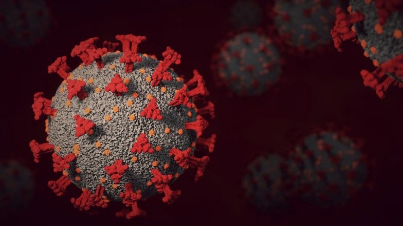 Death Rate Increasing Due to COVID: अमेरिका में लगातार तीसरे सप्ताह कोविड से 1,000 से अधिक मौतें, कोरोना के मामले चरम पर