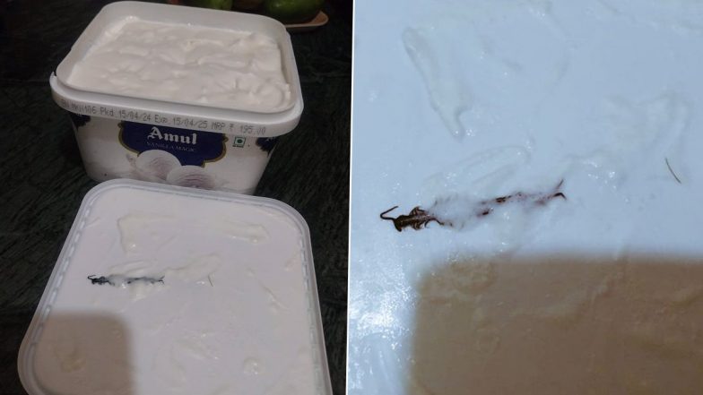 Centipede Found in Ice-cream: आइसक्रीम में निकला कनखजूरा, कस्टमर ने की एक्शन की मांग