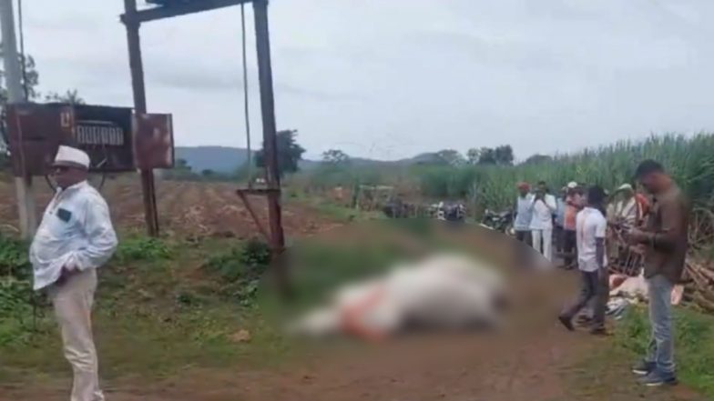 Video: बिजली का करंट लगकर दो बैलों की दर्दनाक मौत, तो वही तीन किसान हुए जख्मी