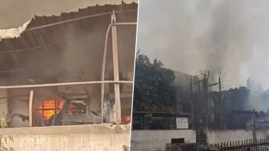 Fire In Silvassa Polymer Factory: सिलवासा में पॉलिमर निर्माण फैक्ट्री में लगी भीषण आग, कड़ी मशक्कत के बाद पाया गया काबू- Video