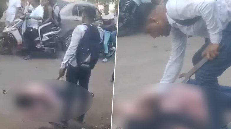 Mumbai Shocker: वसई में एक युवक ने दिनदहाड़े अपनी पूर्व प्रेमिका की बीच सड़क पर की बेरहमी से हत्या, वीडियो सामने आने के बाद लोगों के उड़े होश