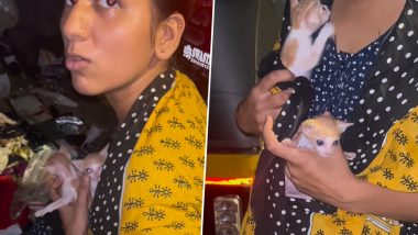 Kittens Viral Video: कचरे के डिब्बे में फेंक दिए दो बिल्ली के छोटे बच्चे, महिला ने बचाई जान, सोशल मीडिया में वायरल वीडियो पर लोगों ने दी महिला को दुआएं