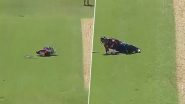 Video: गेंद लगने से ज़मीन पर गिर पड़ा बल्लेबाज, गेंदबाज ने दिखाई दिल को छू लेने वाली स्पोर्ट्समैन स्पिरिट, देखें वीडियो