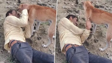 Drunkard Viral Video: शराबी ने पत्नी समझकर कुत्ते के साथ किया ऐसा काम, लोगों ने पकड़ लिया माथा
