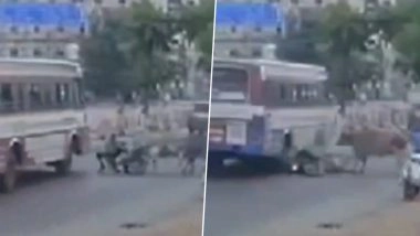 Tirunelveli Shocker: सड़क पर मवेशियों की लड़ाई में एक वाहनचालक की बस के नीचे आने से हुई मौत, तिरुनेलवेली का ये वीडियो देखकर लोगों के रोंगटे हुए खड़े-Video