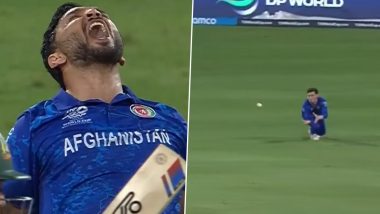 Noor Ahmad Takes Sensational Diving Catch: नूर अहमद ने ग्लेन मैक्सवेल को आउट करने के लिए लपका सनसनीखेज डाइविंग कैच, देखें वीडियो