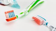 Toothbrush Turns 526 Years Old! जब हड्डी और सुअर के बालों से बना दुनिया का पहला टूथब्रश! जानें किस देश ने इस ब्रश को पेटेंट कराया था!