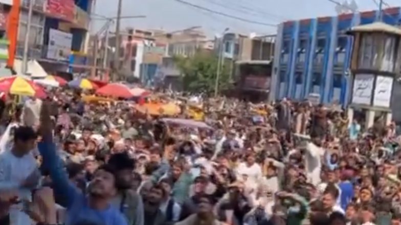 Afghan Fans Celebration Video: अफगानिस्तान के सेमीफाइनल में पहुंचने के बाद सड़कों पर उमड़ी भीड़, अफगान फैंस ने मनाया जश्न, देखें वीडियो