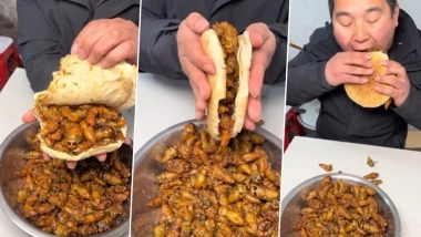 कीड़ों से भरे बर्गर को मजे से खाता दिखा शख्स, अजीबो-गरीब खाने के इस Viral Video ने उड़ाए लोगों के होश