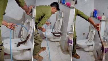 Cobra Found in Toilet Commode: इंदौर में टॉयलेट के कमोड में मिला कोबरा सांप, कड़ी मशक्कत के बाद किया गया रेस्क्यू; वीडियो देखकर उड़ जाएंगे होश