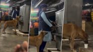 Viral Video: पानी पीने के लिए वॉटर कूलर के पास जा पहुंचा प्यासा कुत्ता, महिला ने ऐसे की बेजुबान जानवर की मदद