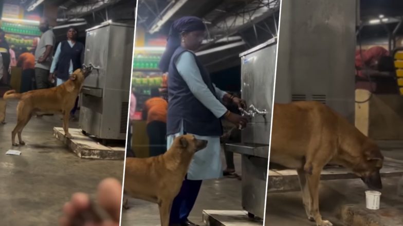 Viral Video: पानी पीने के लिए वॉटर कूलर के पास जा पहुंचा प्यासा कुत्ता, महिला ने ऐसे की बेजुबान जानवर की मदद