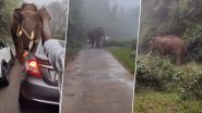 Viral Video: लड़कों की हरकत को देख हाथी को आ गया गुस्सा, सड़क पर खड़ी गाड़ियों को गजराज ने बनाया निशाना
