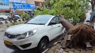 Heavy Rain In Gujarat: अहमदाबाद में भारी बारिश के चलते पेड़ उखड़ा, दो कारों पर गिरने से क्षतिग्रस्त- VIDEO