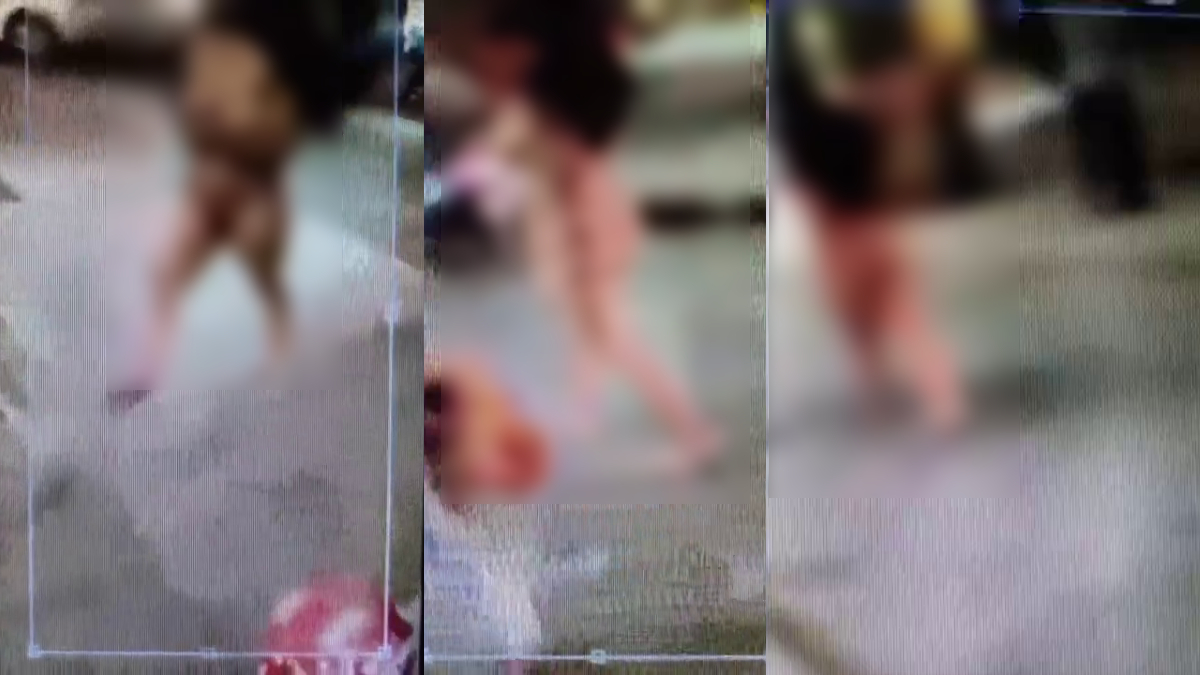 VIDEO: गाजियाबाद में बीच सड़क पर नग्न हो कर घुमती रही महिला, वीडियो वायरल होने के बाद जांच के आदेश | 🇮🇳 LatestLY हिन्दी