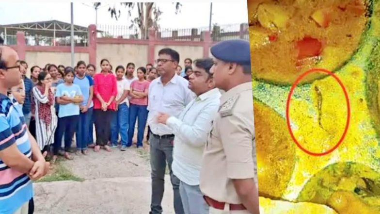 Snake Found in Food! खाने में मिला मरा हुआ सांप! फूड प्वाइजनिंग के शिकार हुए बांका इंजीनियरिंग कॉलेज के छात्र, अस्पताल में भर्ती