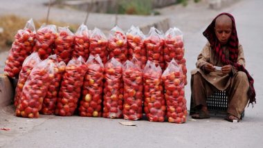 Tomato Price Hike in Pakistan: पाकिस्तान में महंगाई की मार! ईद से पहले टमाटर की कीमतें 200 रुपए प्रति Kg तक पहुंची