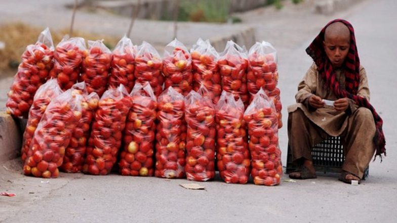 Tomato Price: आपूर्ति बढ़ने से टमाटर की कीमत में आई 22 प्रतिशत की ग&zwj;िरावट