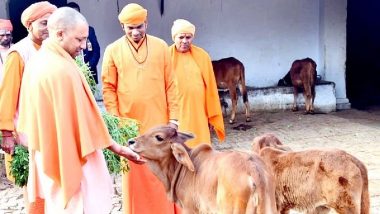 VIDEO: मतगणना से पहले गोरखनाथ मंदिर में सीएम योगी ने किया दर्शन, गाय को खिलाई रोटी, बच्चों को दी चॉकलेट!