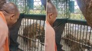 CM Yogi Adityanath Visits A Zoo: उत्तरप्रदेश के सीएम योगी आदित्यनाथ पहुंचे गोरखपुर के चिड़ियाघर, बाघ को देखने का उठाया आनंद - ( Watch Video )