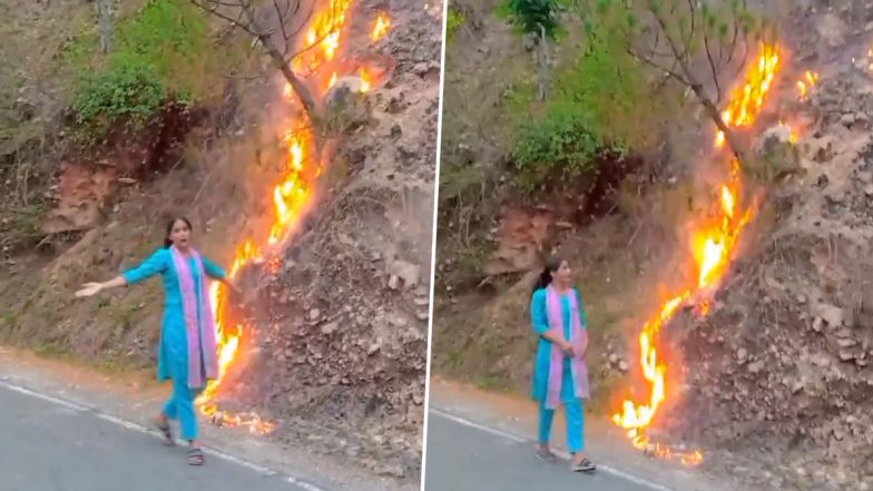 Viral Video: रील की ये कैसी सनक? पहाड़ों में लगी आग के बीच वीडियो बनाने में मशगूल दिखी लड़की